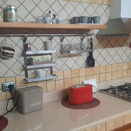 White Spagnoli * Nápoly